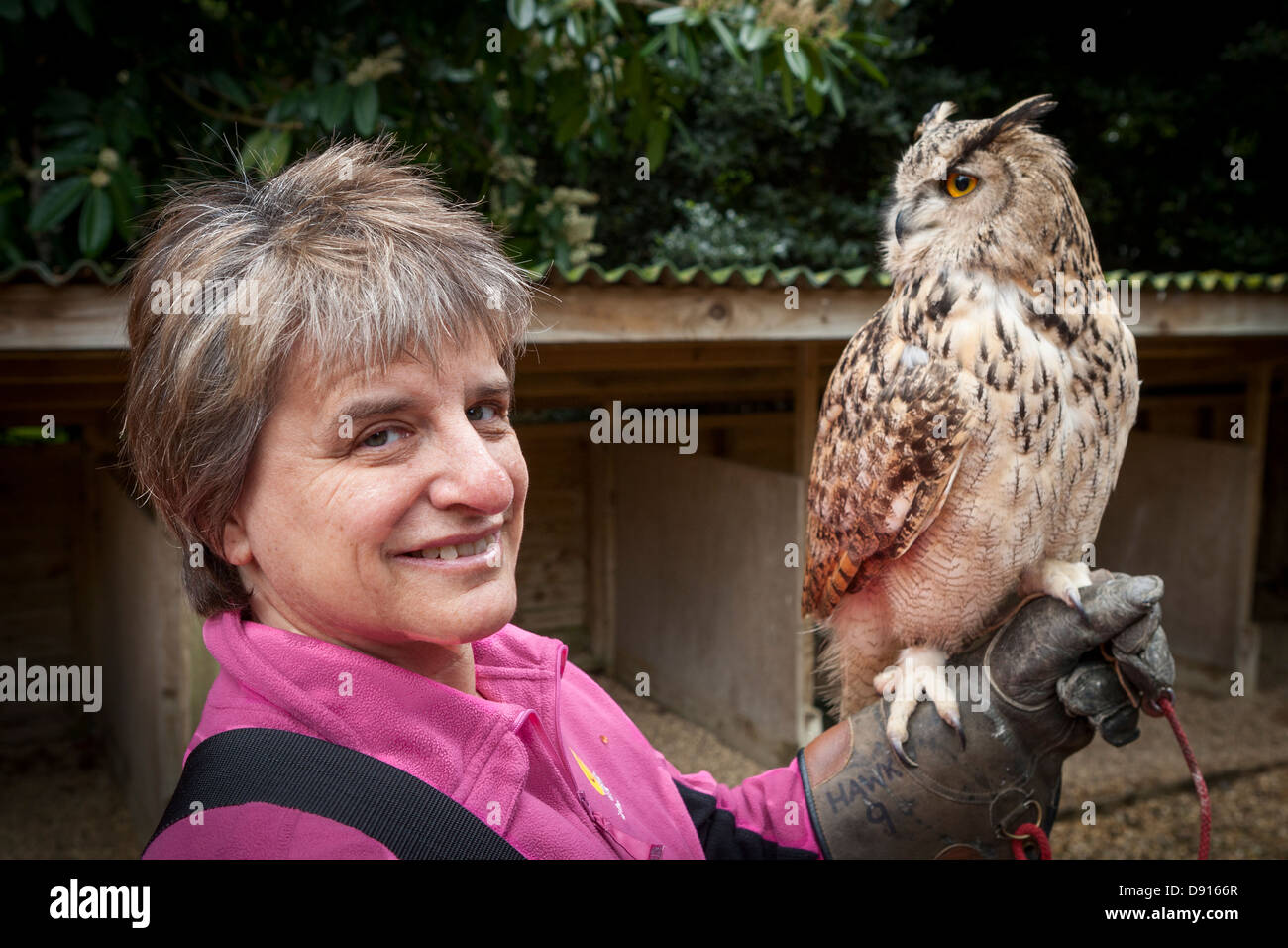 Gufo minore o gufo Magellanico, bubo magellanicus, poggiante sul braccio della donna, Bird Conservation Farm, UK Foto Stock