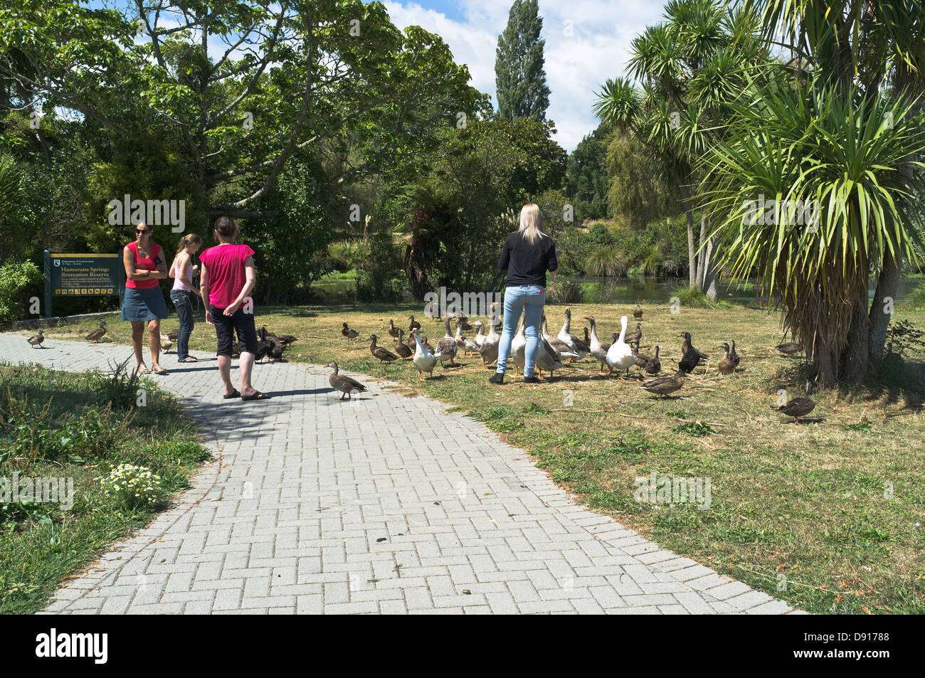 dh Springs Reserve ROTORUA HAMURANA NUOVA ZELANDA NZ Famiglia alimentazione anatre e oche turisti parco ricreativo persone Foto Stock