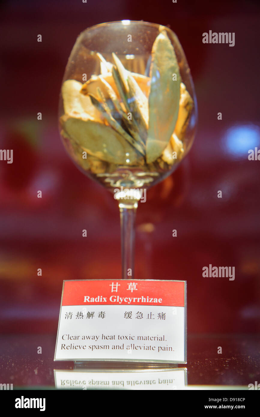 Singapore, The Shoppes at Marina Bay Sands, negozi, shopping shopper shopping negozi di mercato mercati di mercato di acquisto di vendita, negozi al dettaglio autobus Foto Stock