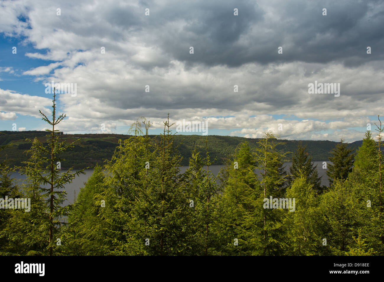 LOCH NESS in primavera con abeti di rivestimento per le banche per molte miglia Foto Stock