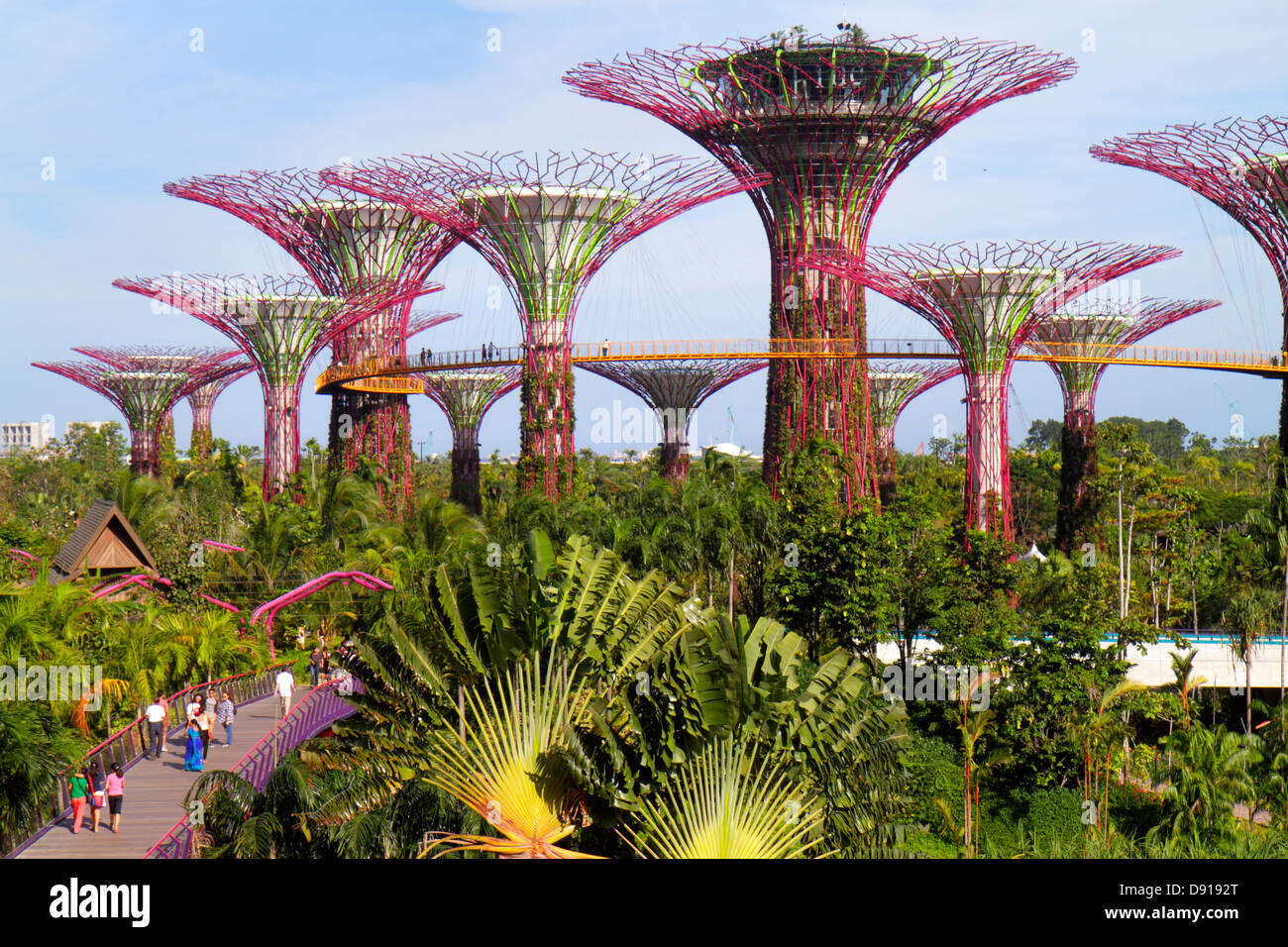 Singapore Gardens by the Bay, parco, Supertrees, passaggio sopraelevato, Sing130202167 Foto Stock