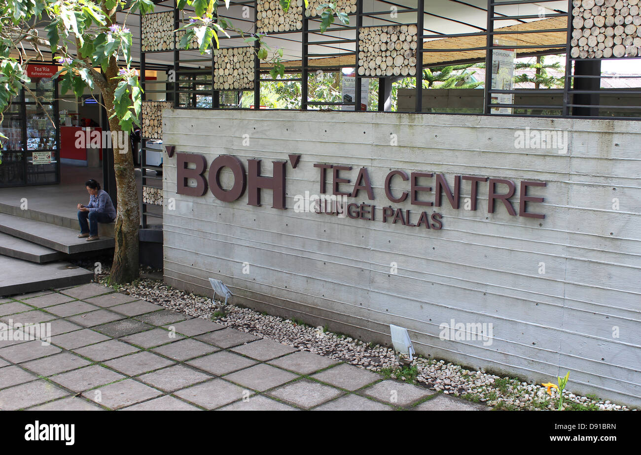 BOH piantagione di tè tè BOH Centro, Sungei Palas, in Cameron Highlands, Malaysia Foto Stock