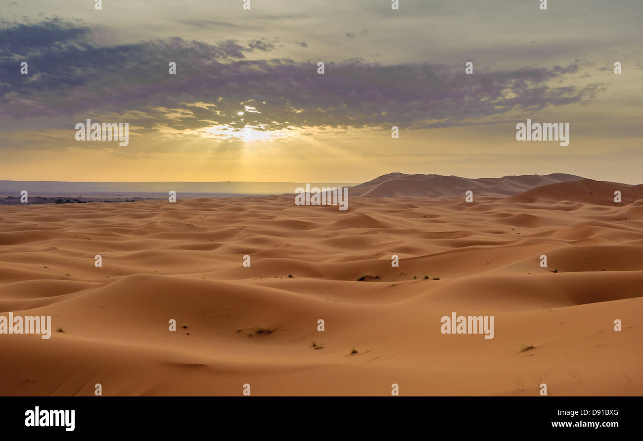 Le dune di sabbia di Erg Chebbi, Marocco Foto Stock