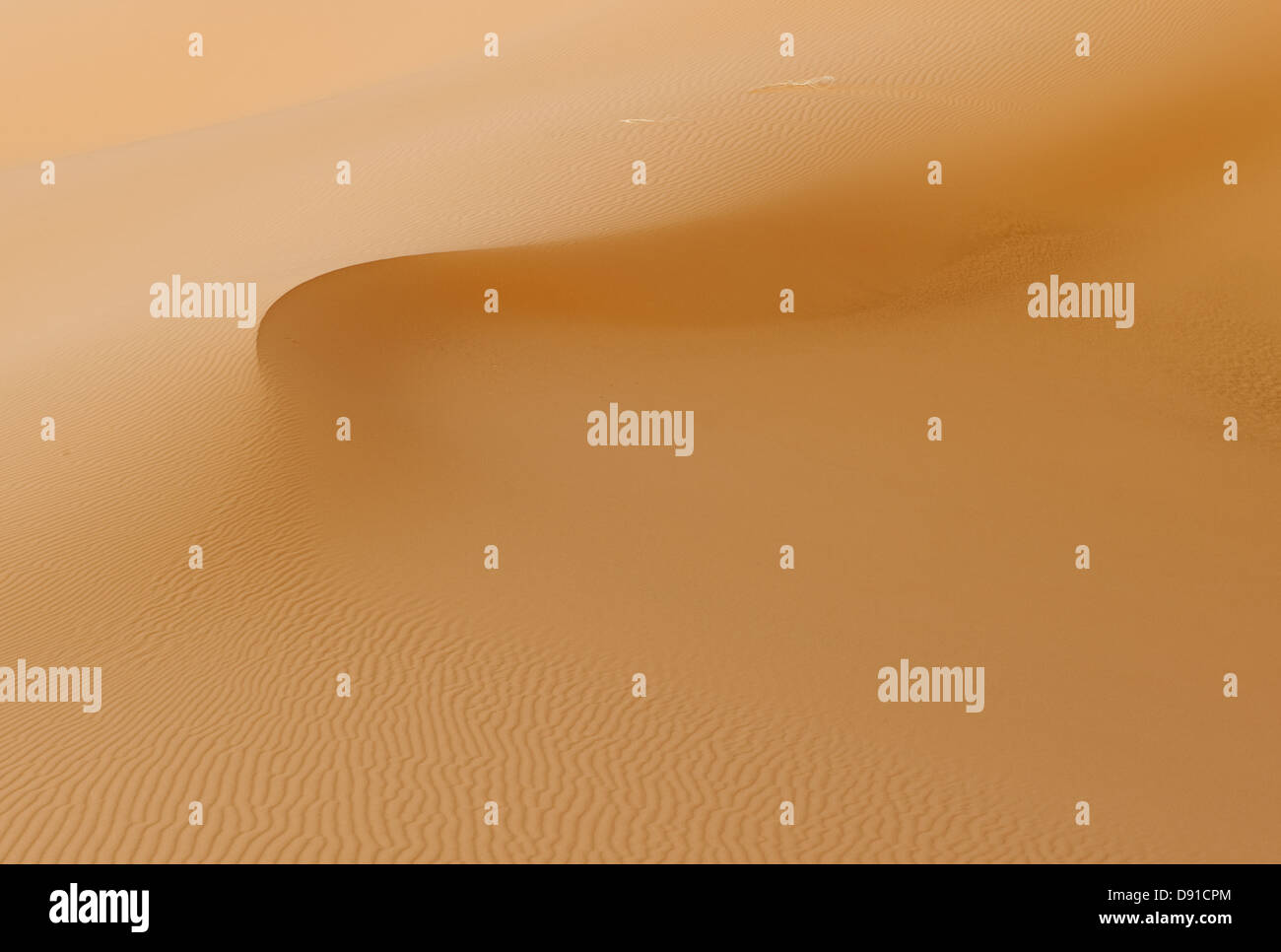 Le dune di sabbia di Erg Chebbi, Marocco Foto Stock