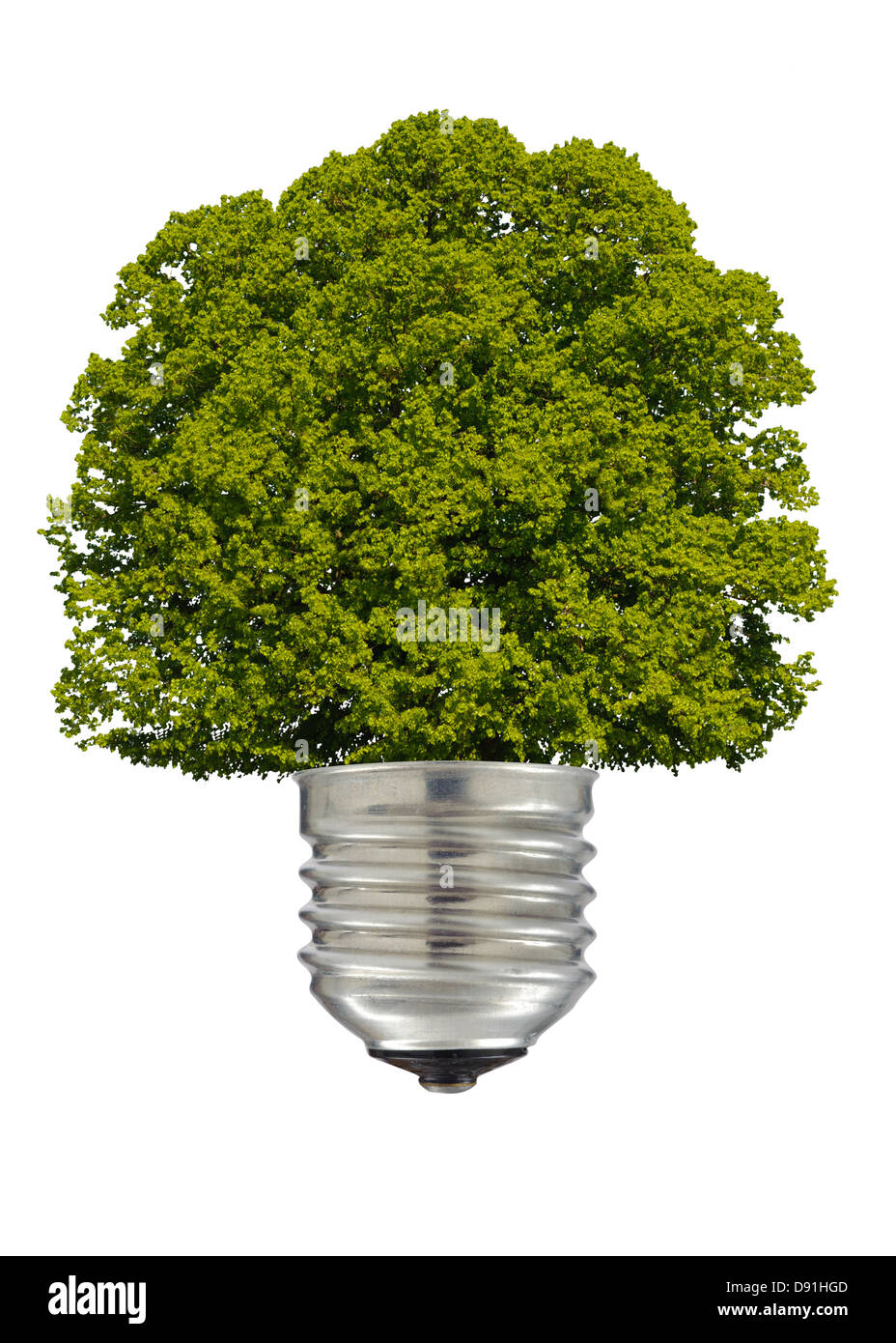 Albero nella lampada come simbolo di energia alternativa Foto Stock