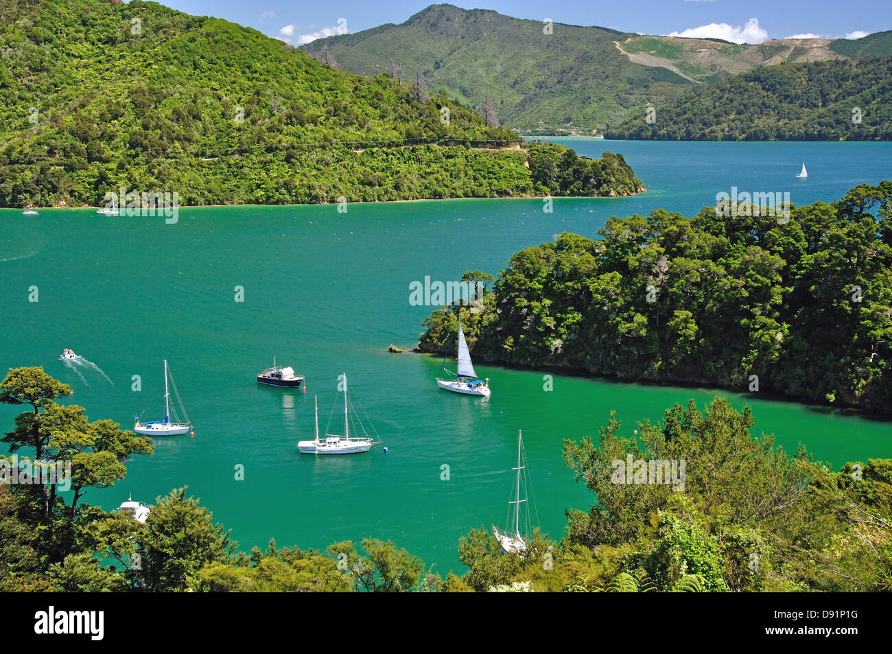 Whenuanui Bay da Queen Charlotte Drive, Queen Charlotte Sound, Marlborough Sounds, Marlborough, Isola del Sud, Nuova Zelanda Foto Stock