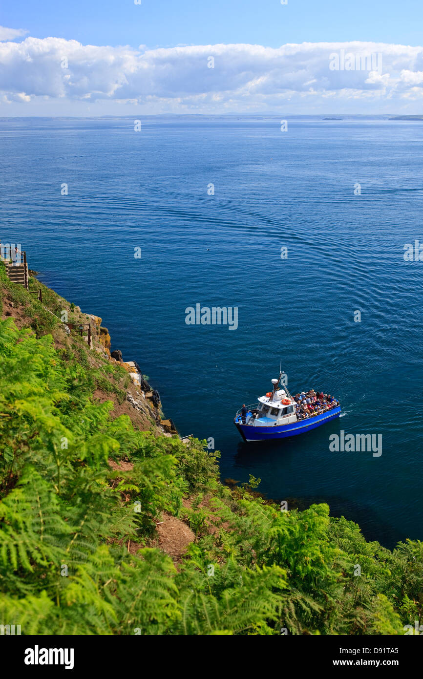 L'imbarcazione turistica che arrivano a Skomer Pembrokeshire Wales Foto Stock