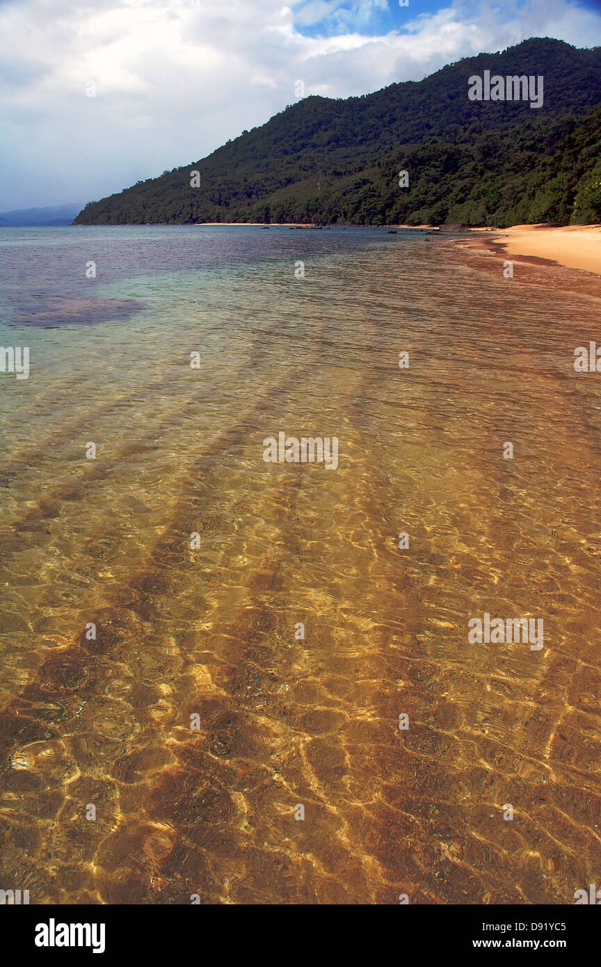 Le spiagge dorate e la foresta pluviale primaria di Parco Nazionale Masoala, penisola di Masoala, baia di Antongil, Madagascar Foto Stock