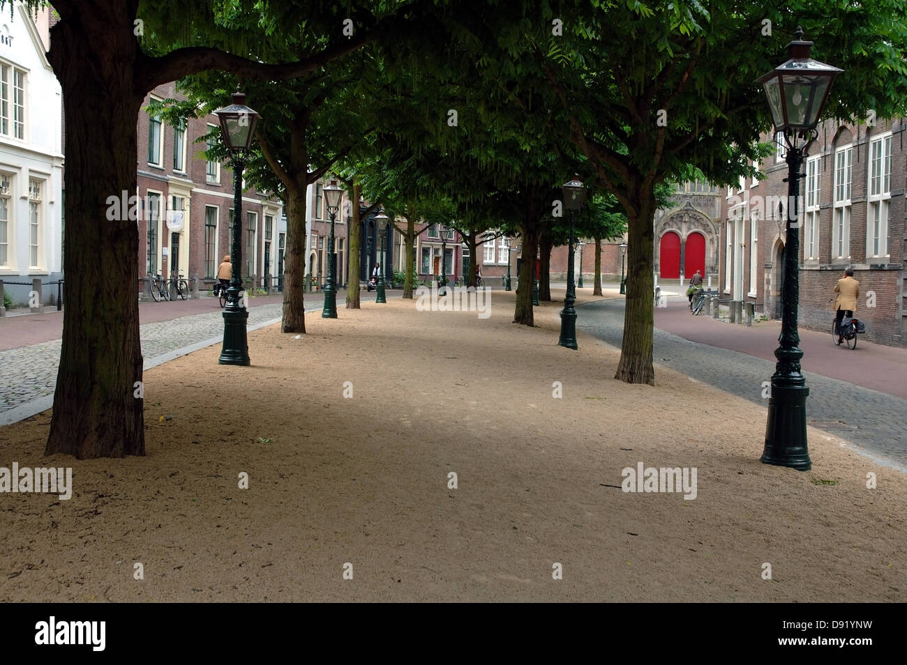 Tranquillo viale alberato nel centro storico della città di Leiden, Paesi Bassi Foto Stock