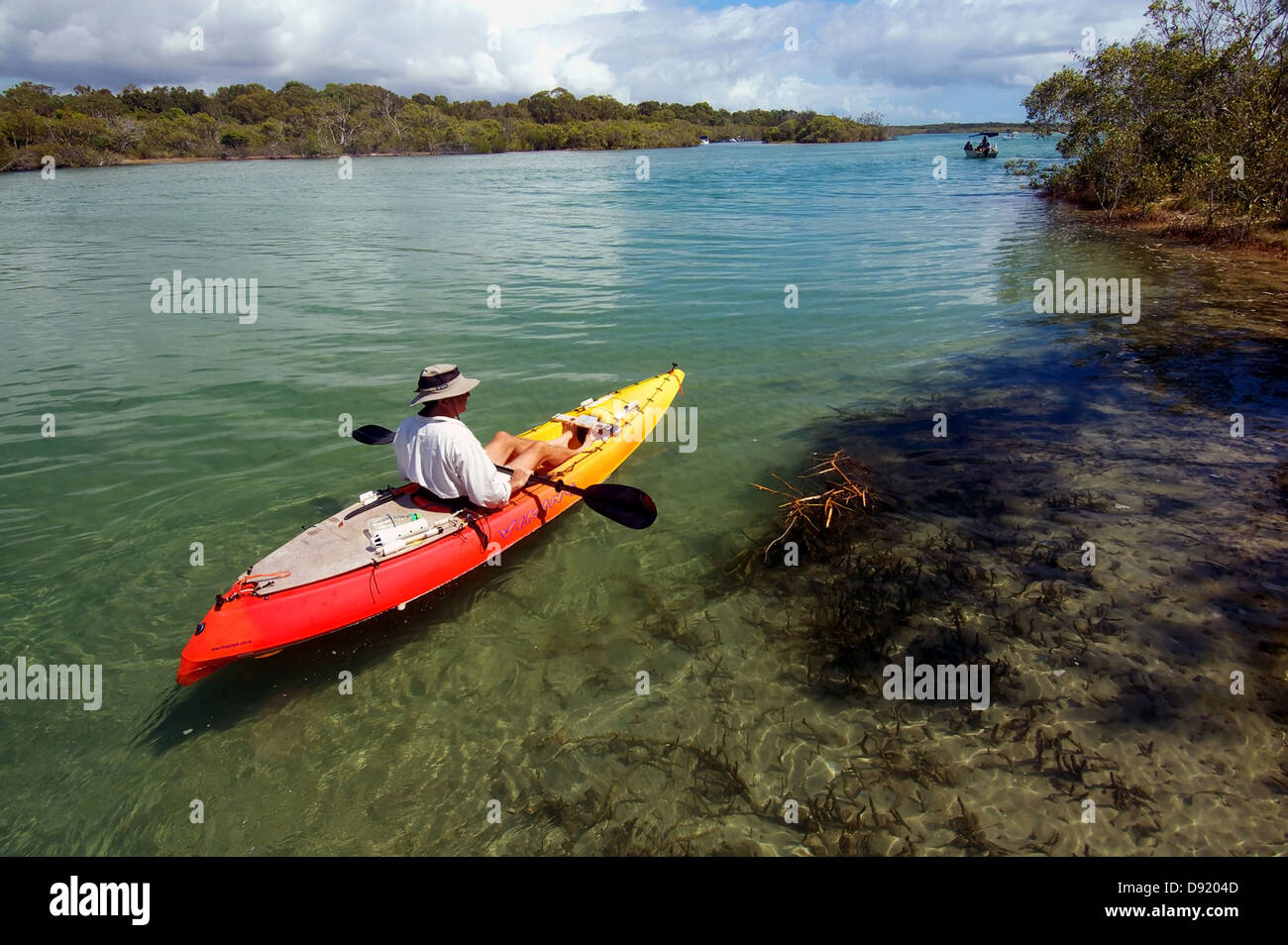 Kayaker sull estuario del fiume Noosa Sunshine Coast, Queensland, Australia. Signor, n. PR Foto Stock