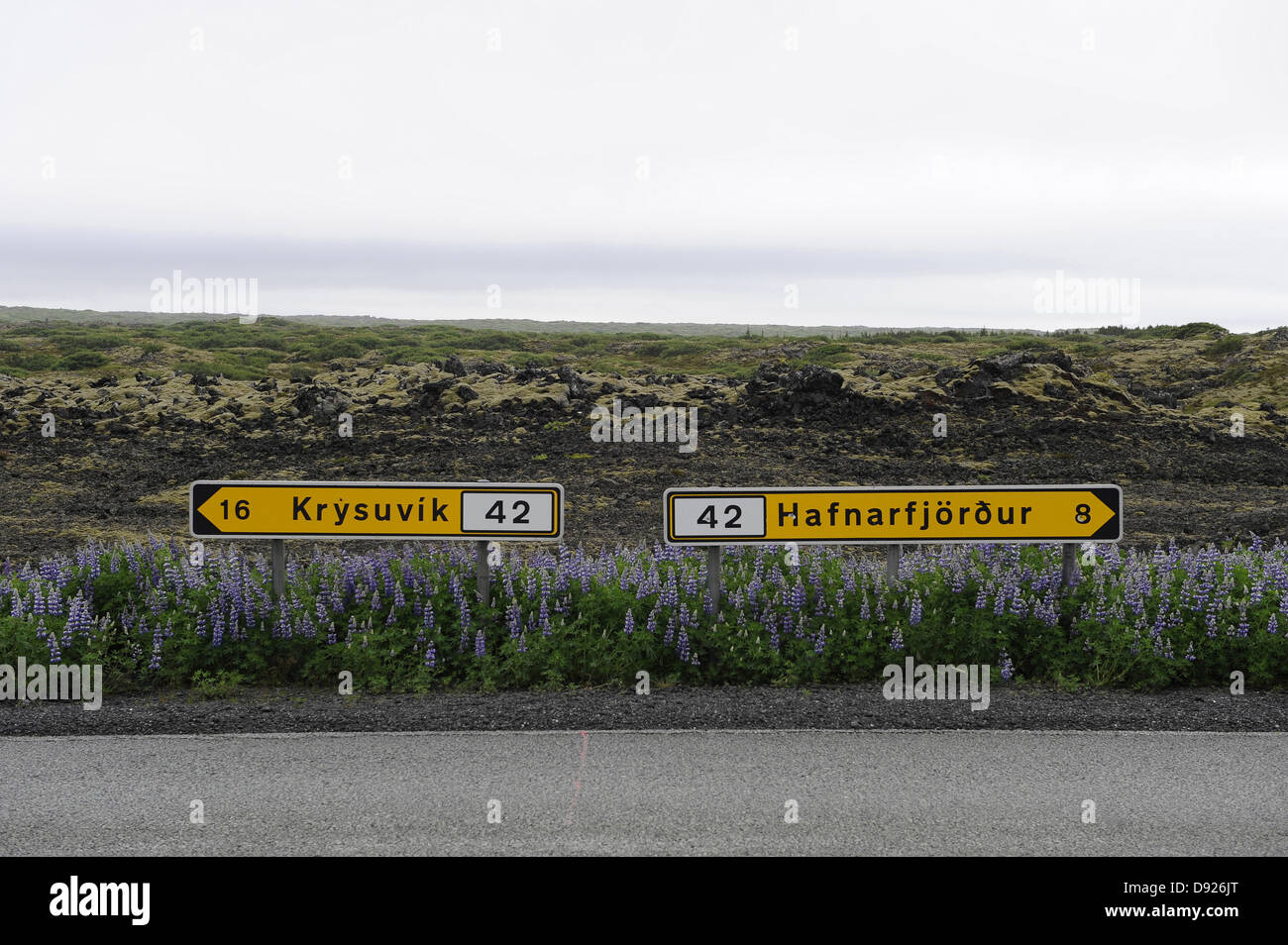 Segnaletica stradale, Blafjoll, Southwest Islanda Islanda Foto Stock