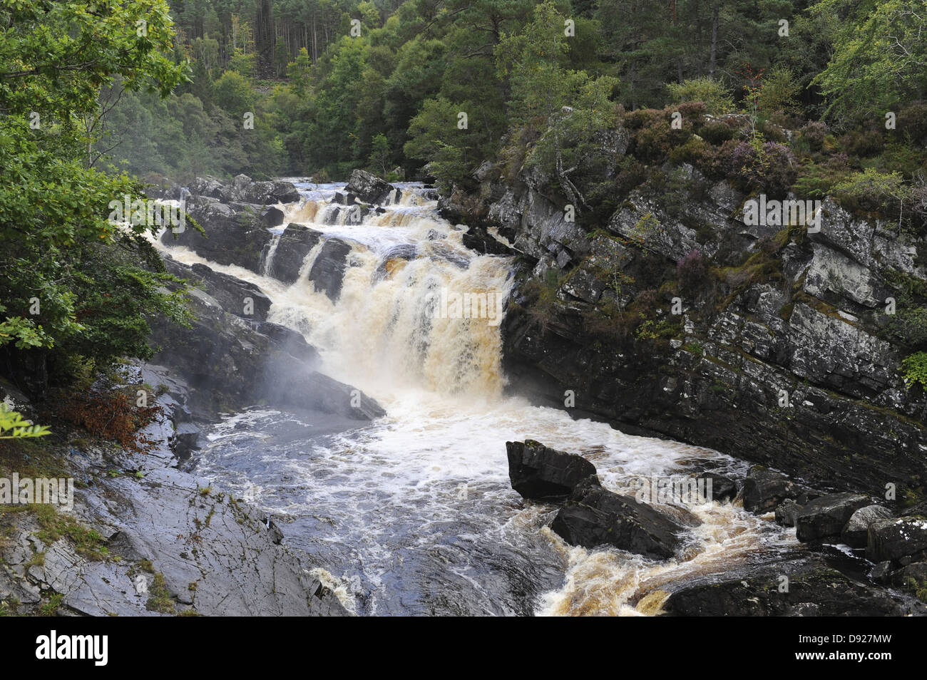 Rogie Falls, Contin, Highlands Scozia, Gran Bretagna Foto Stock
