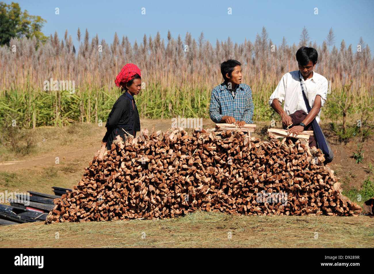 Pa-O persone vendendo legna presso il mercato del legno di Thaung Tho Kyaung, Lago Inle, Stato Shan, Myanmar Foto Stock