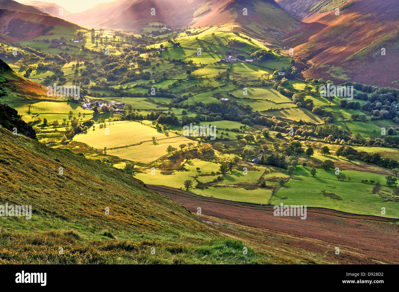 Newlands Valley, Cumbria, bagnata dal sole di sera Foto Stock