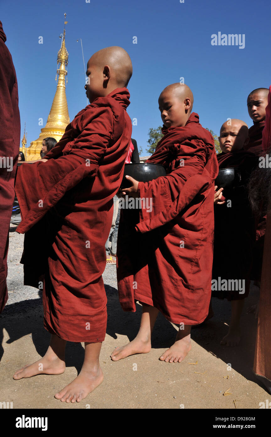 I monaci buddisti raccogliendo elemosine a dicembre luna piena festival, Nyaungshwe, Lago Inle, Stato Shan, Myanmar Foto Stock