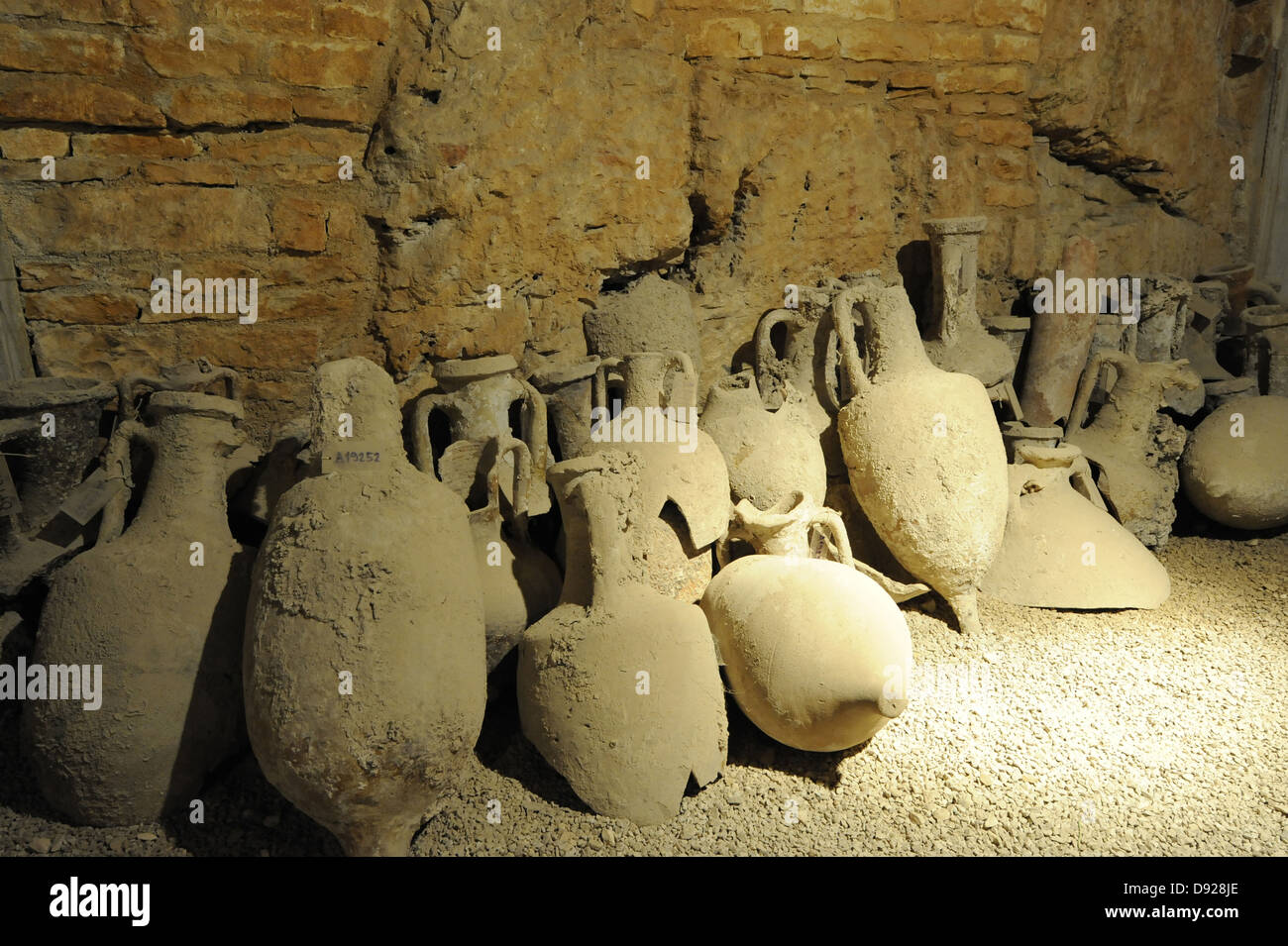 Colosseo, Pola, Istria, Croazia, Europa Foto Stock