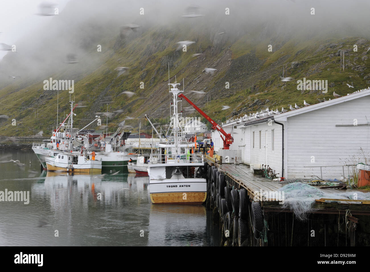 Barche da pesca in Ballstad, Lofoten, Nordland, Norvegia Foto Stock