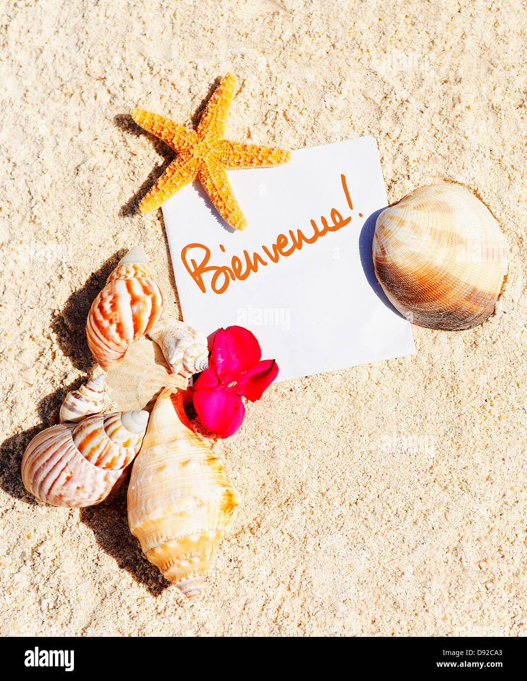 Carta bianca sulla spiaggia di sabbia bianca con stelle marine e conchiglie come vacanze estive sullo sfondo Foto Stock