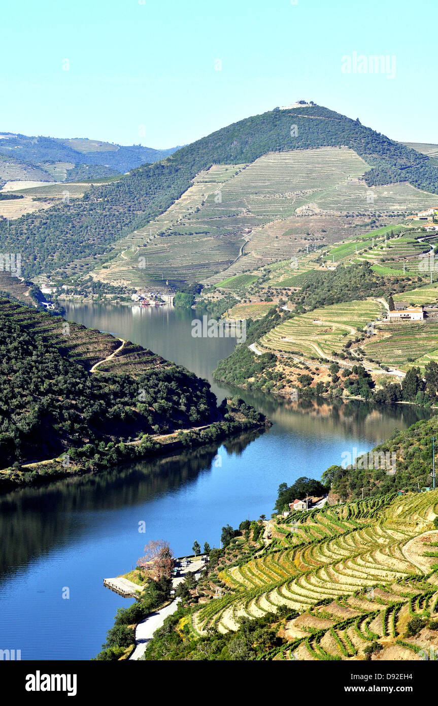 Vigneti della Valle del Douro vicino a Pinhao Portogallo Foto Stock