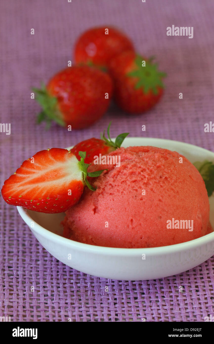 Sorbetto di fragole e fragole fresche Foto Stock