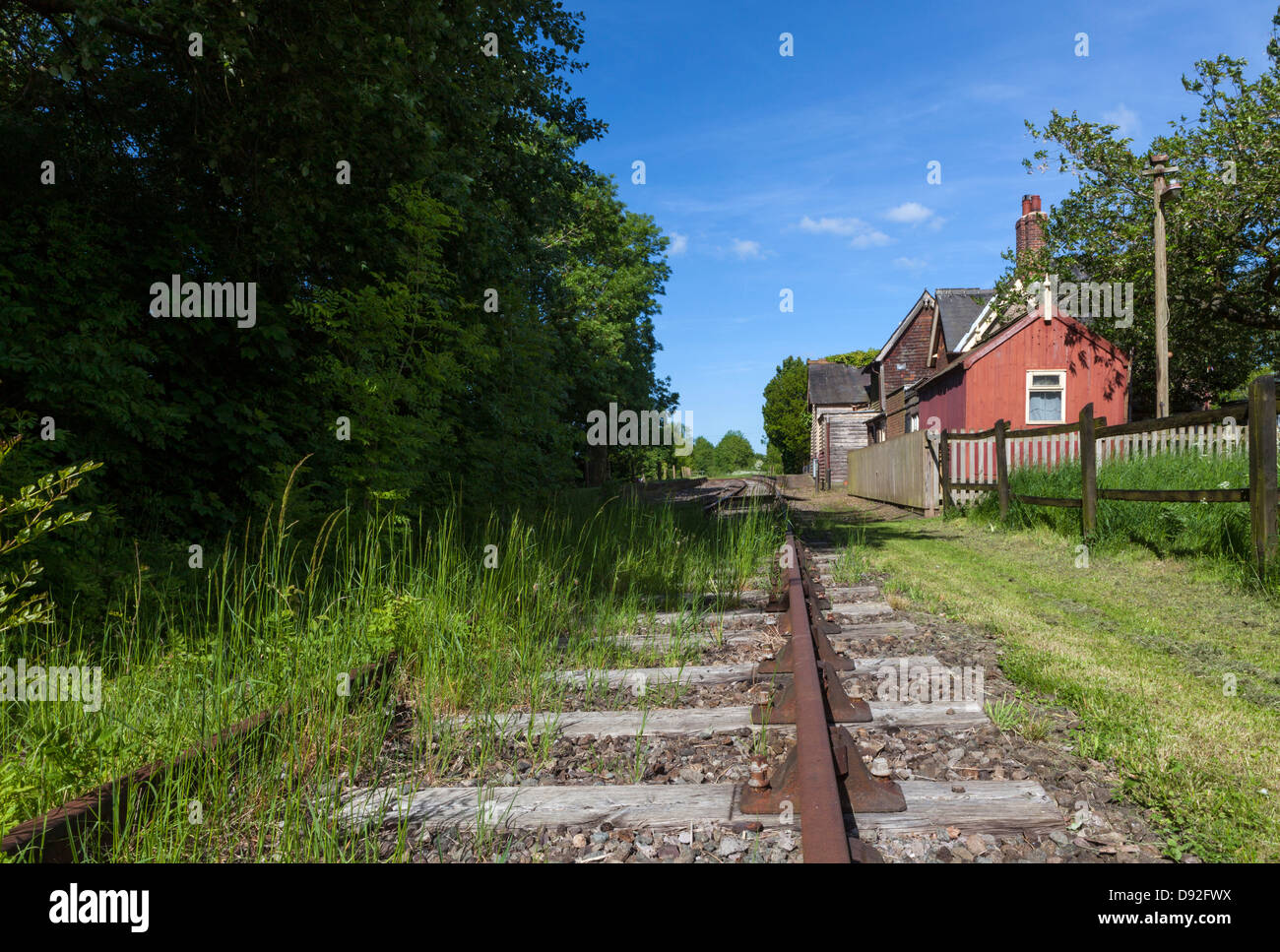 Il vecchio cresciuto al di sopra della linea ferroviaria. Foto Stock