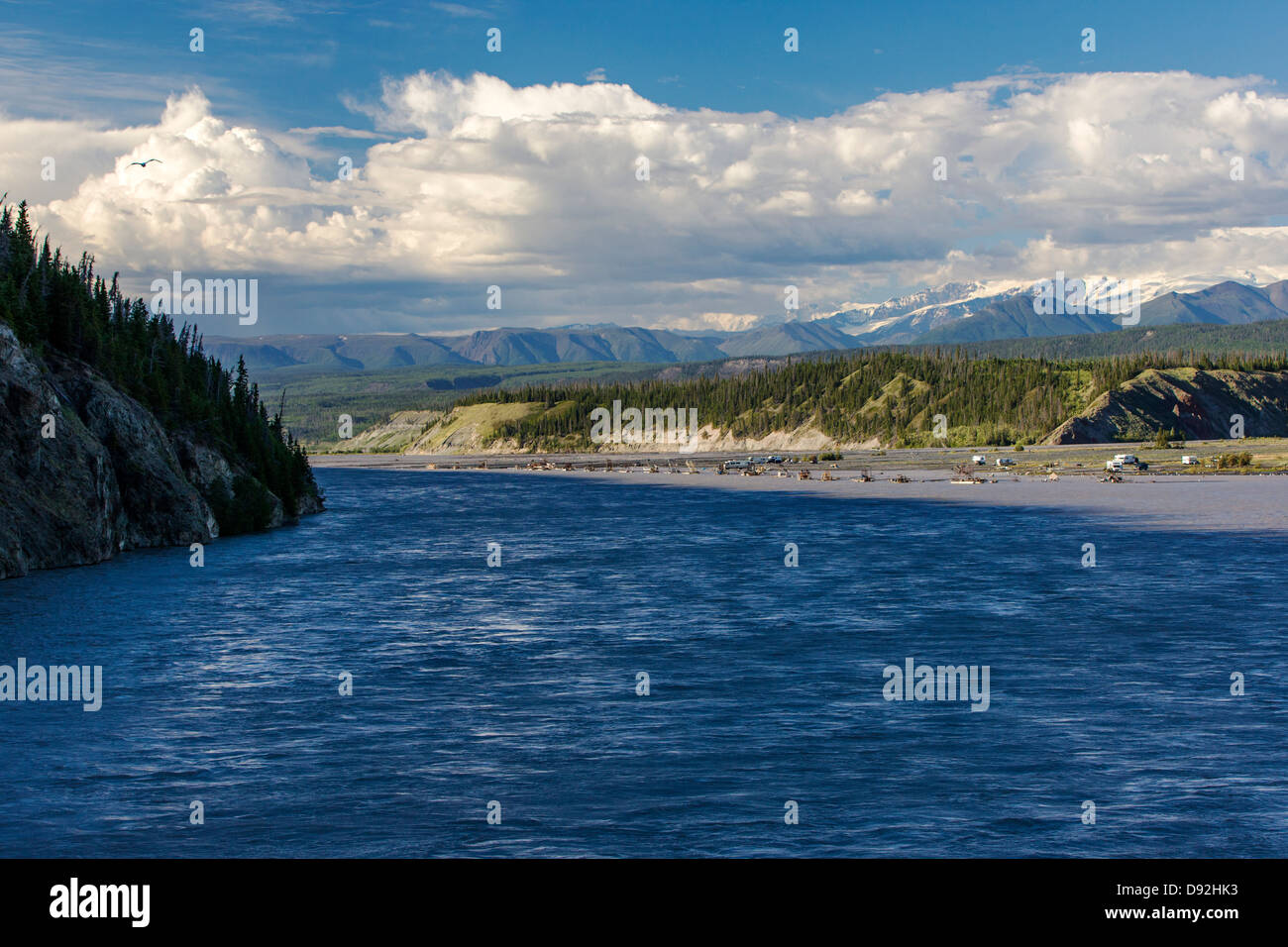Pescatore di sussistenza delle catture di salmone selvatico sul fiume di rame; viene eseguito dal ghiacciaio di rame, thru il Chugach & Wrangall montagne AK Foto Stock