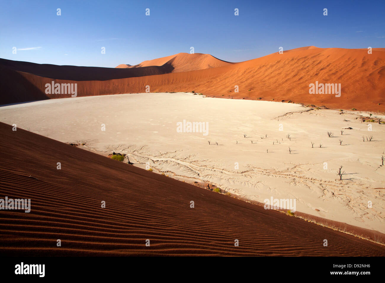 Gli alberi morti (pensato per essere di 900 anni) e dune di sabbia a Deadvlei, Namib-Naukluft National Park, Namibia, Africa Foto Stock