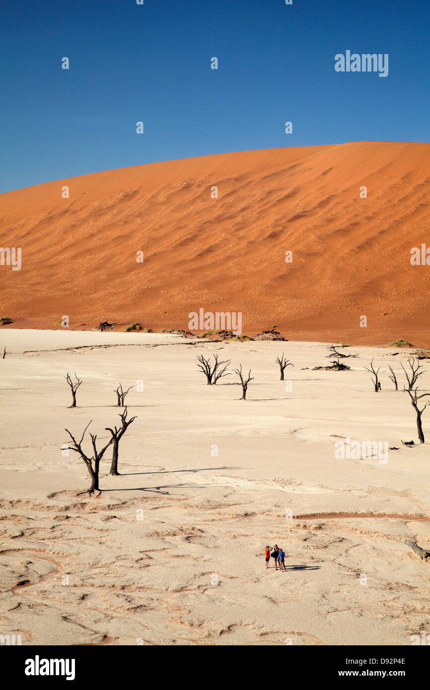 Gli alberi morti (pensato per essere di 900 anni), turisti e dune di sabbia a Deadvlei, Namib-Naukluft National Park, Nambia, Afrcia Foto Stock