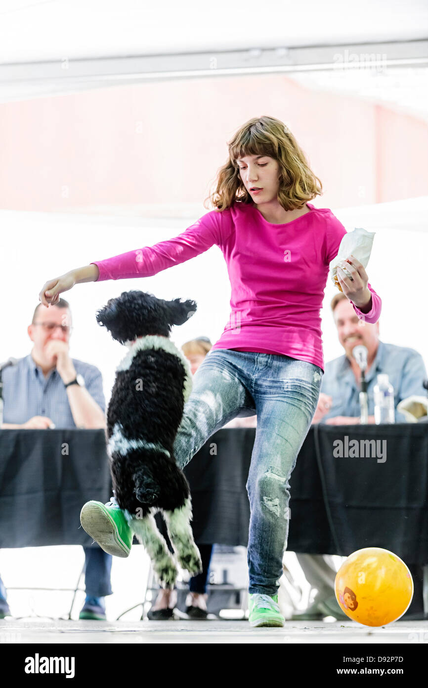 Toronto, Canada, giugno 9, 2013. Cane saltando proprietari gamba alla decima edizione Woofstock festival del cane stupido Pet Trick contest. Attore comico Patrick McKenna guarda dal giudicare la tabella. Credito: Elena Elisseeva/Alamy Live News Foto Stock Toronto, Canada, giugno 9, 2013. Cane saltando proprietari gamba alla decima edizione Woofstock festival del cane stupido Pet Trick contest. Attore comico Patrick McKenna guarda dal giudicare la tabella. Credito: Elena Elisseeva/Alamy Live News Foto Stock