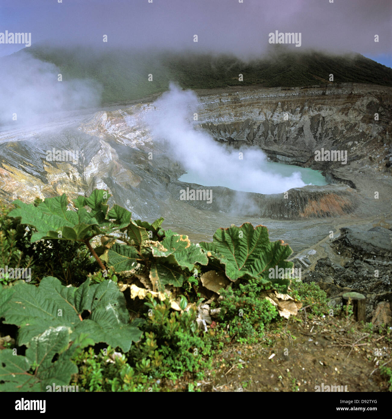 Il vapore che salgono dal Vulcano Poas, Alajuela, Costa Rica Foto Stock