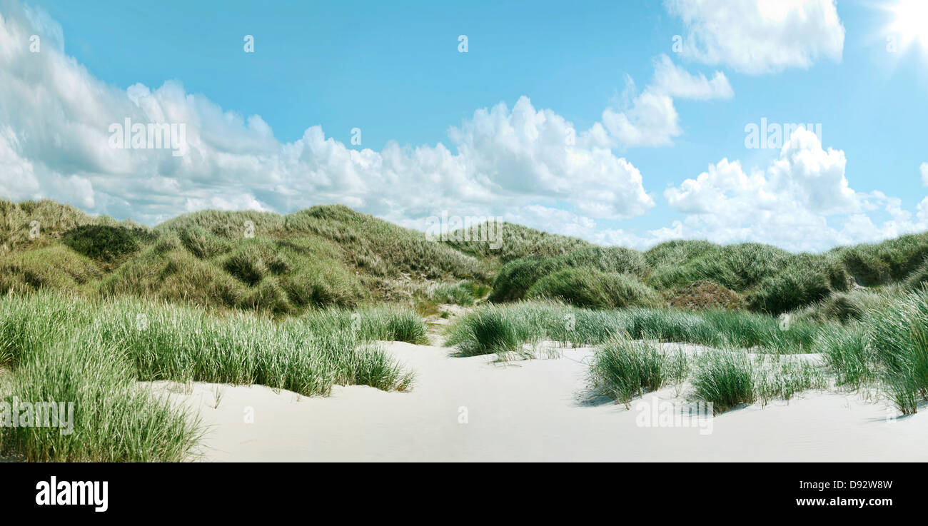 Grassy dune di sabbia in Schleswig Holstein, Germania Foto Stock