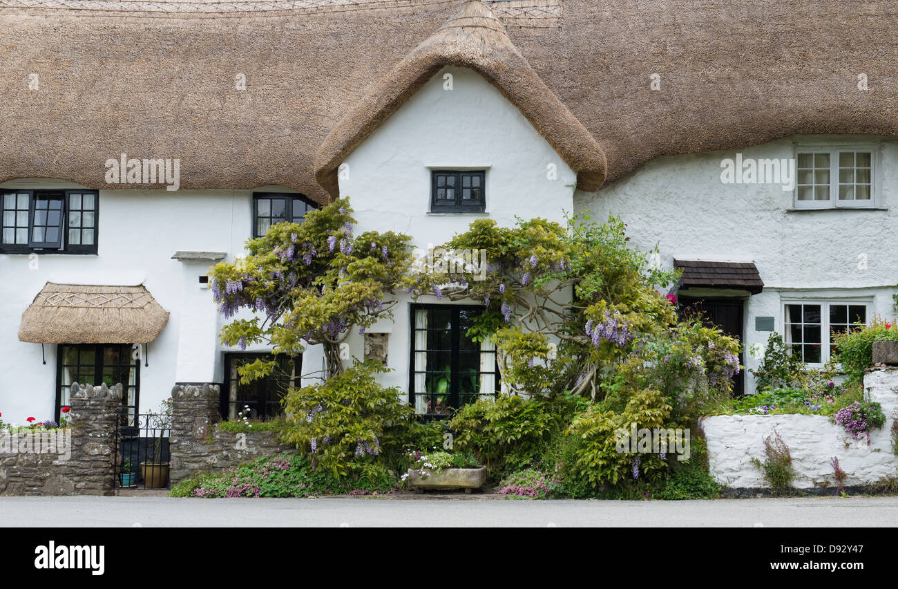 Con il tetto di paglia cob cottage. Kingston, Devon, Inghilterra Foto Stock
