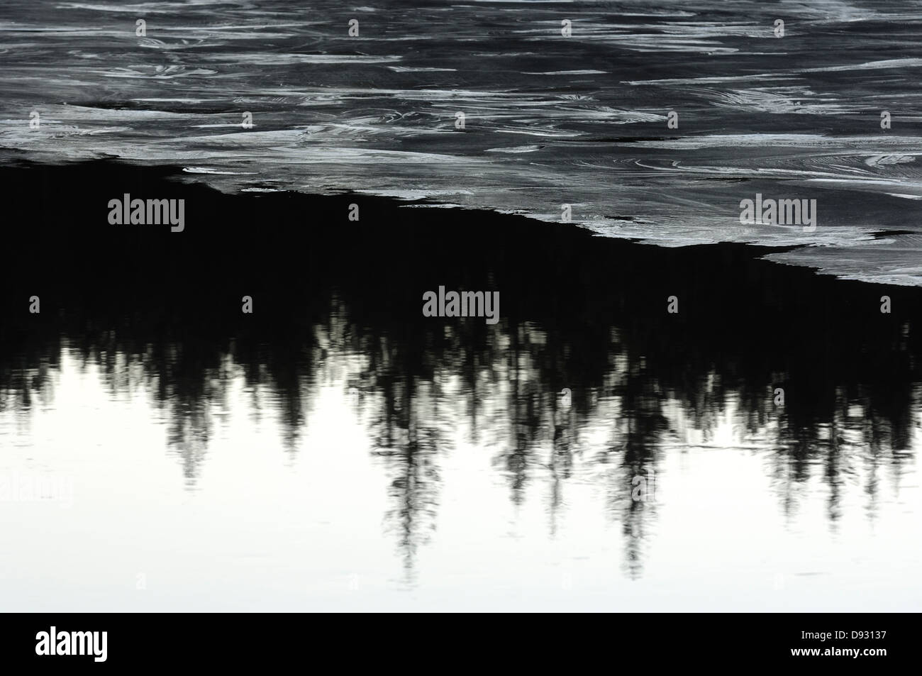 La riflessione in un lago, Bohuslan, Svezia. Foto Stock