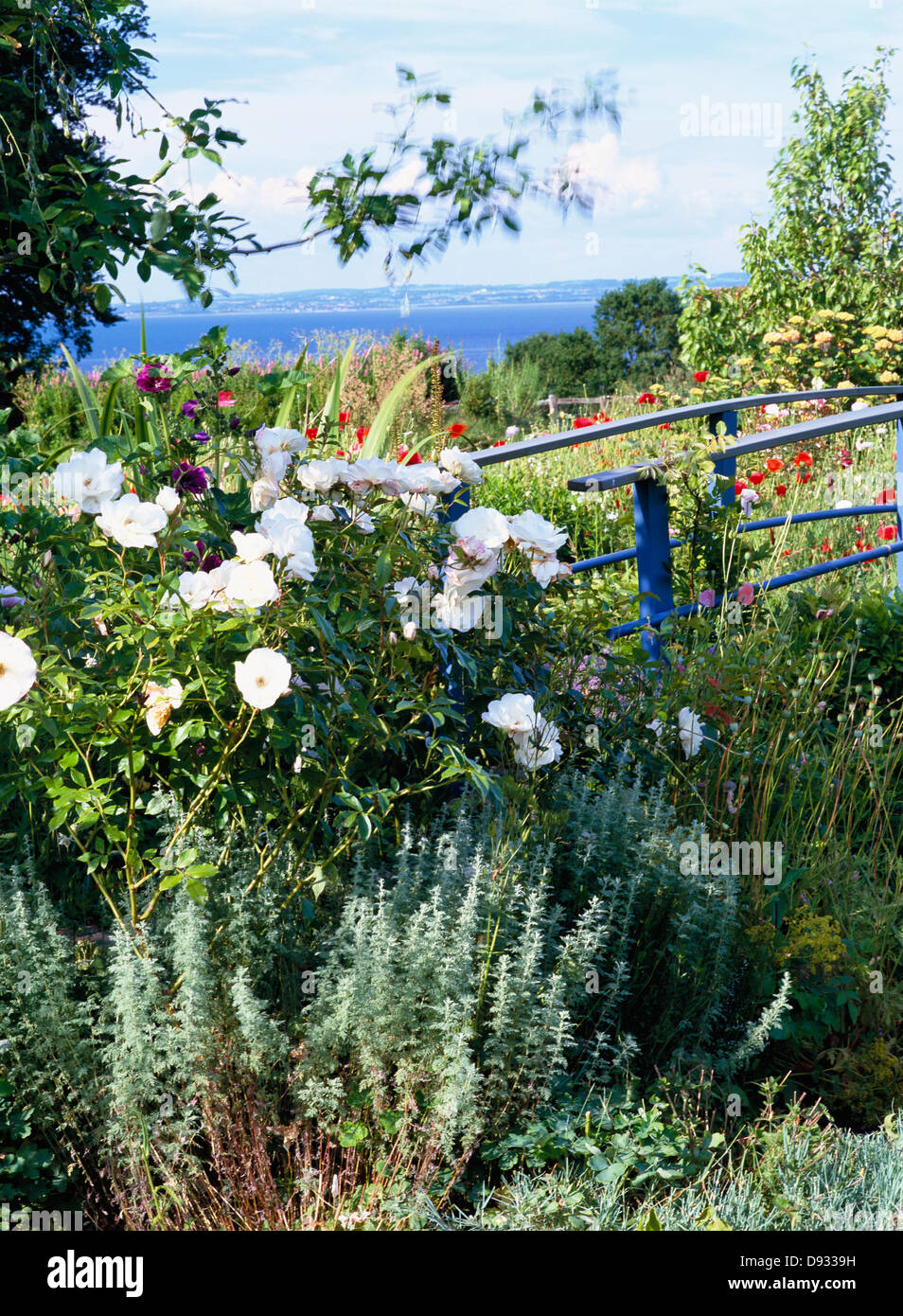 Giardino sul mare, Skane, Svezia. Foto Stock