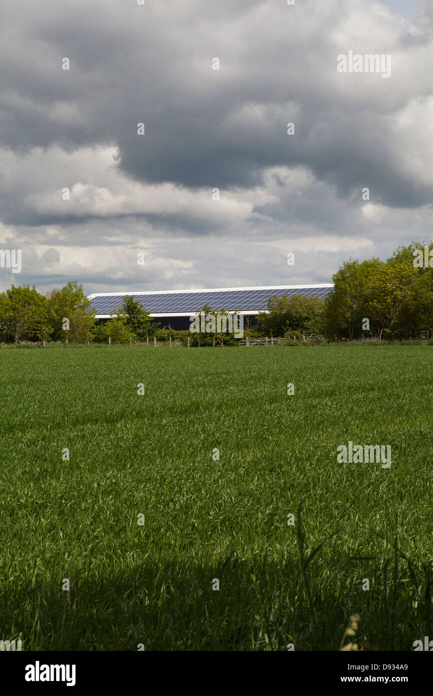 Pannelli solari sul grande fattoria Hampshire REGNO UNITO Foto Stock