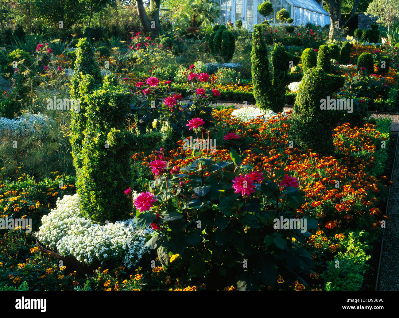Box-siepi e fiori in un parco. Foto Stock