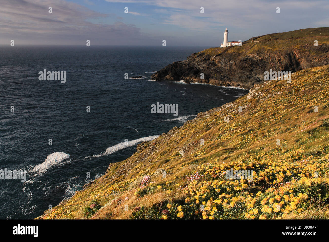 Trevose faro giallo e fiori selvatici su scogliere a testa Trevose, Cornwall. Foto Stock