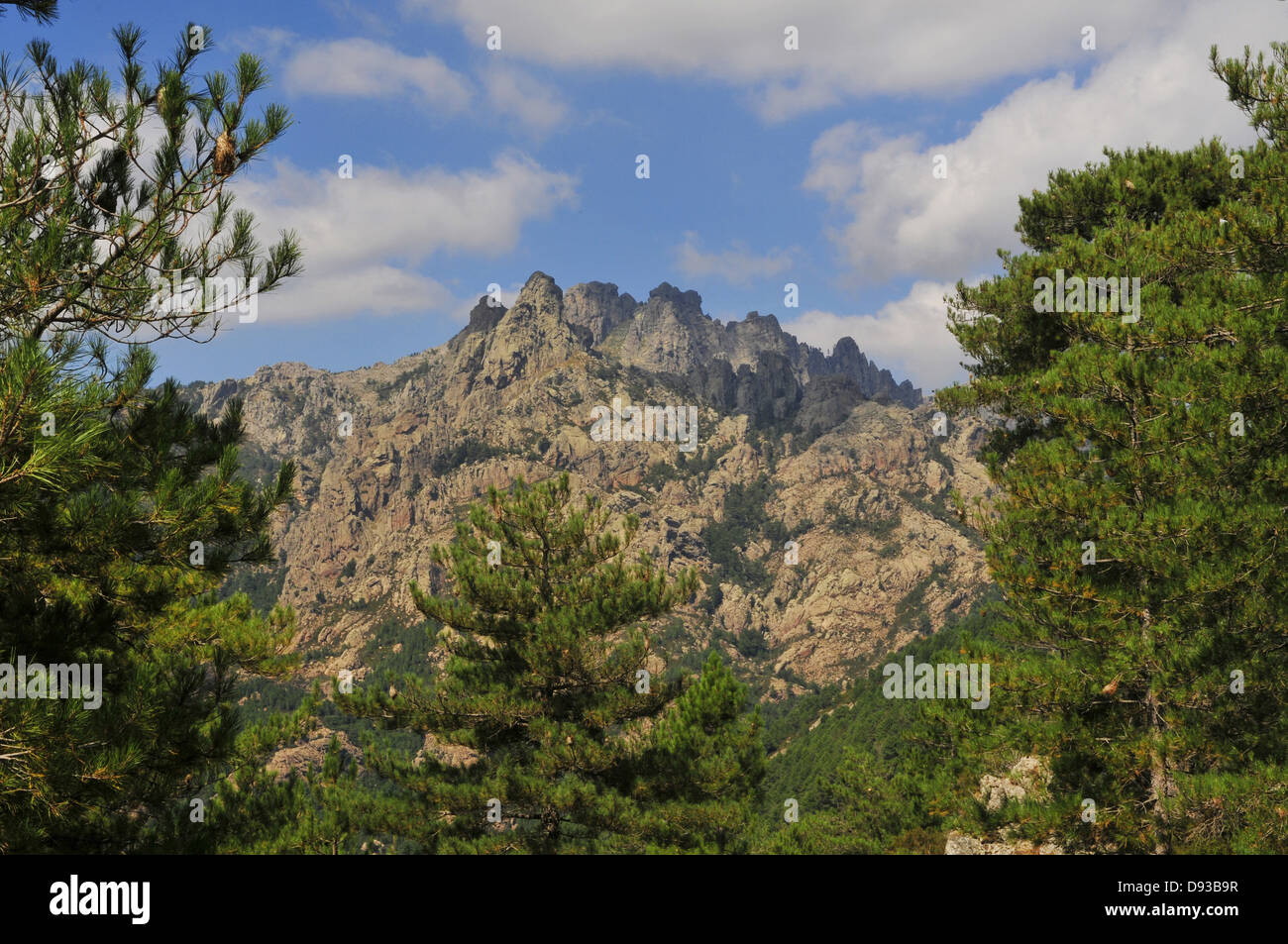 Aiguilles de Bavella, Col de Bavella, Alta Rocca Regione, Corse-du-Sud, Corsica, Francia Foto Stock