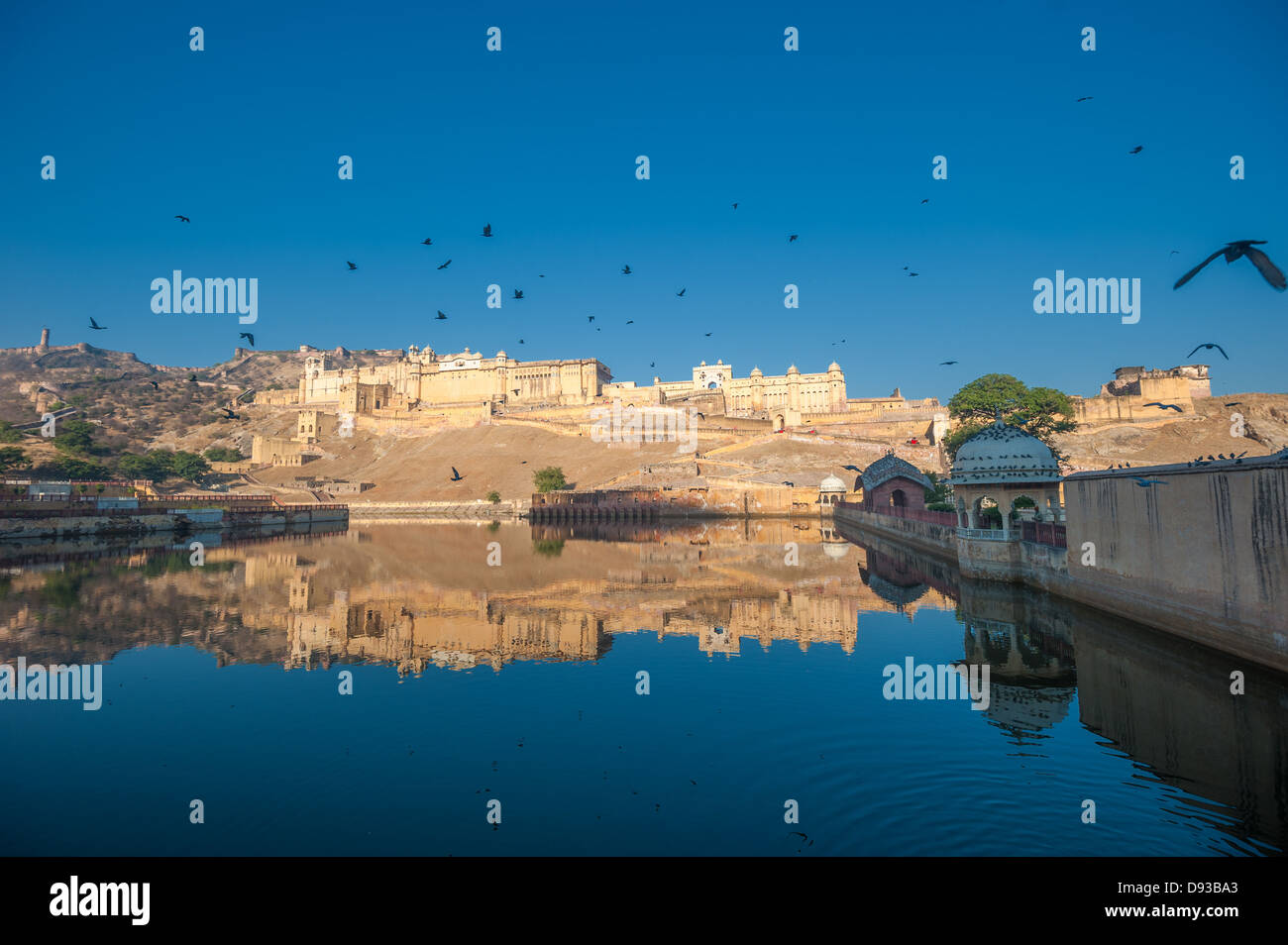 Amber fort, a Jaipur, India Foto Stock