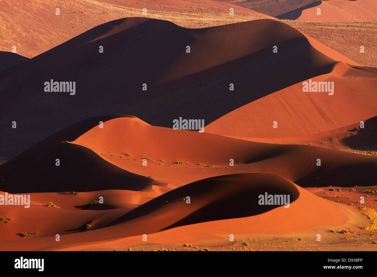 Le dune di sabbia a Sossusvlei, Namib-Naukluft National Park, Namibia, Africa Foto Stock