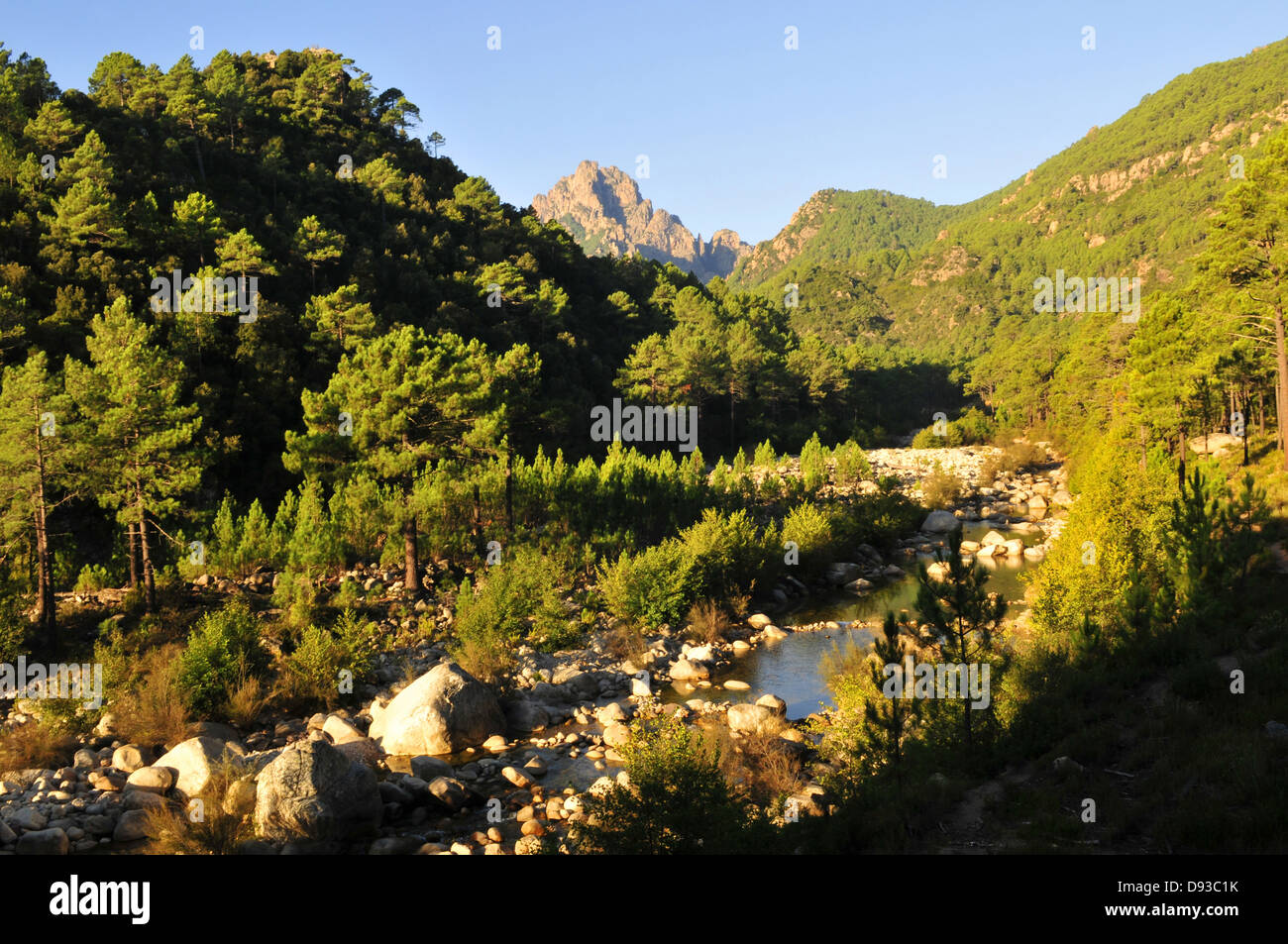 Col de Bavella, Alta Rocca Regione, Corse-du-Sud, Corsica, Francia Foto Stock