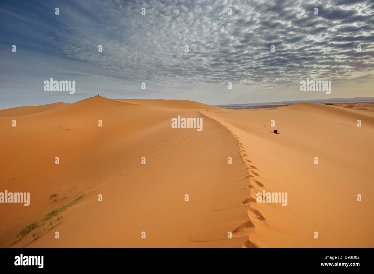 Le dune di sabbia di Erg Chebbi, Marocco Foto Stock