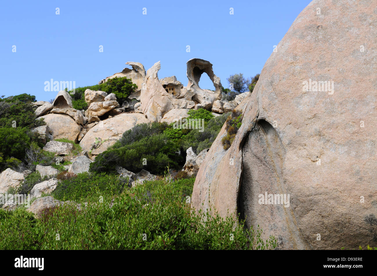 Tafoni rock, vicino a Calvi, Balagne, Haute-Corse, Corsica, Francia Foto Stock