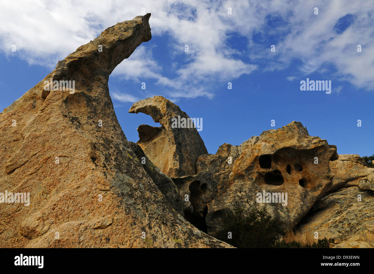 Tafoni rock, vicino a Calvi, Balagne, Haute-Corse, Corsica, Francia Foto Stock