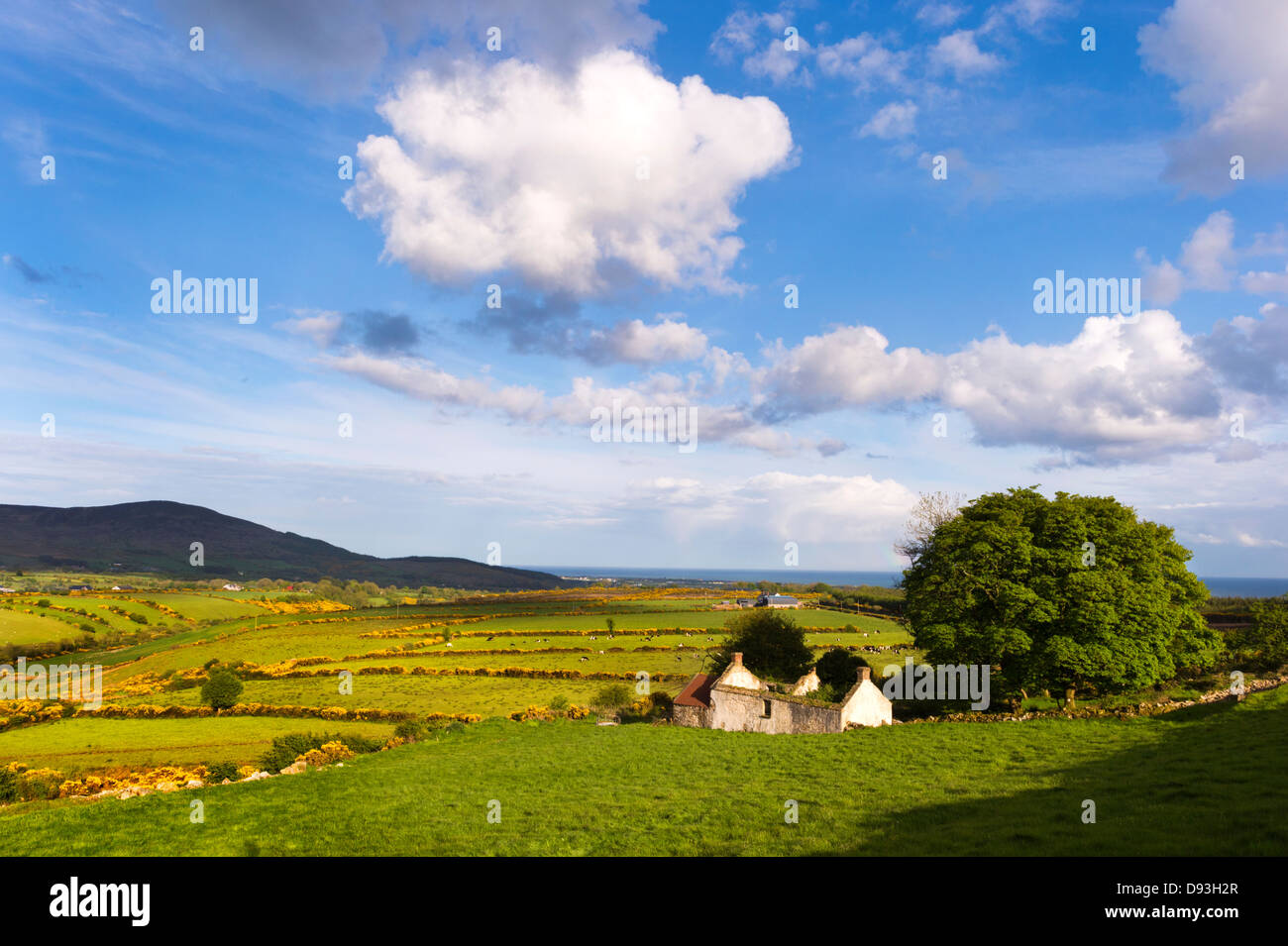 Penisola di Cooley, nella contea di Louth, Repubblica di Irlanda. Foto Stock