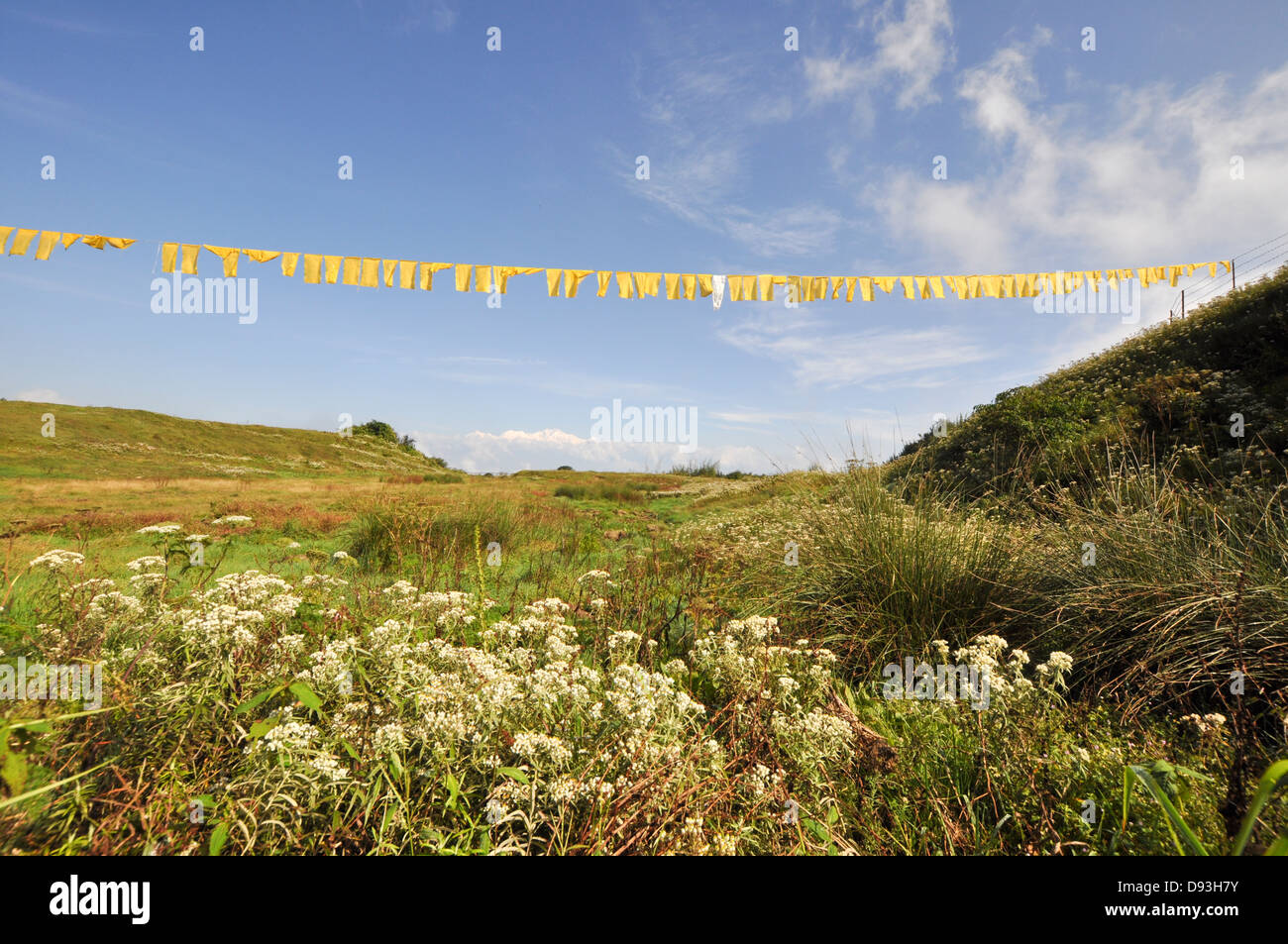 Darjeeling, West Bengal, India bandiere di preghiera Foto Stock