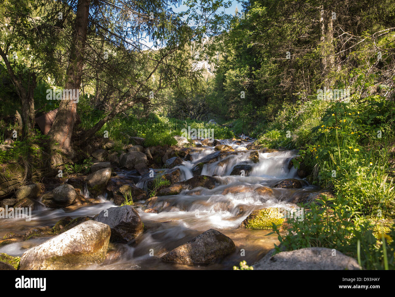 La natura di alberi verdi e il fiume in Almaty, Kazakhstan,Asia Foto Stock