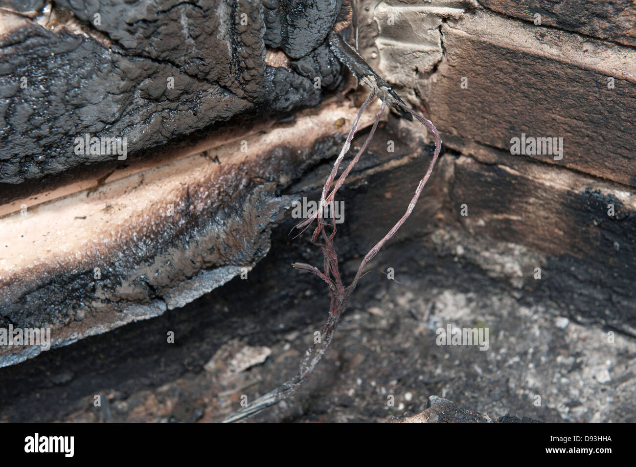 Incendio di origine elettrica guasto cavo filo bruciato masticato roditore attraverso accidentale Foto Stock