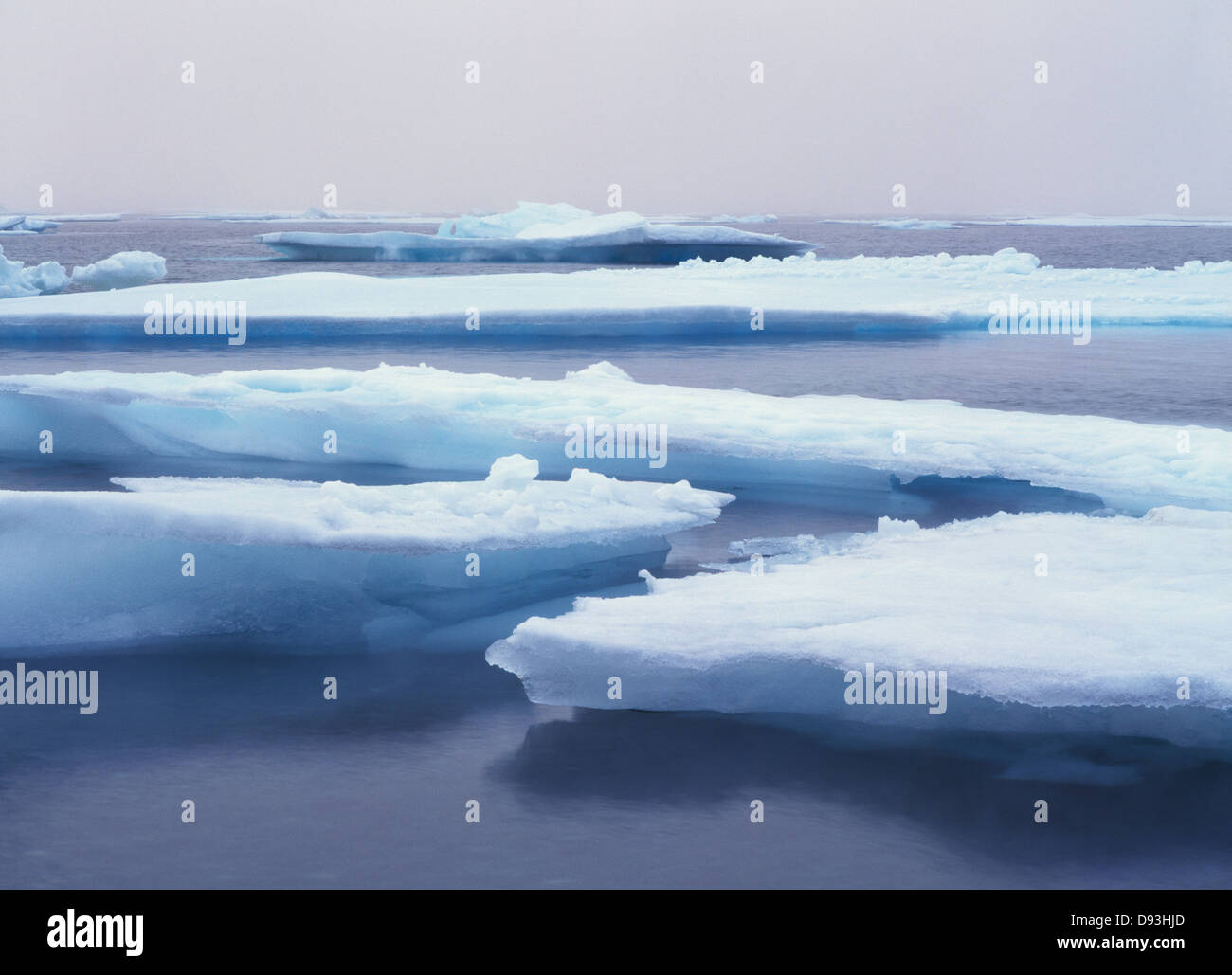 Ice floes, Svalbard, Norvegia. Foto Stock