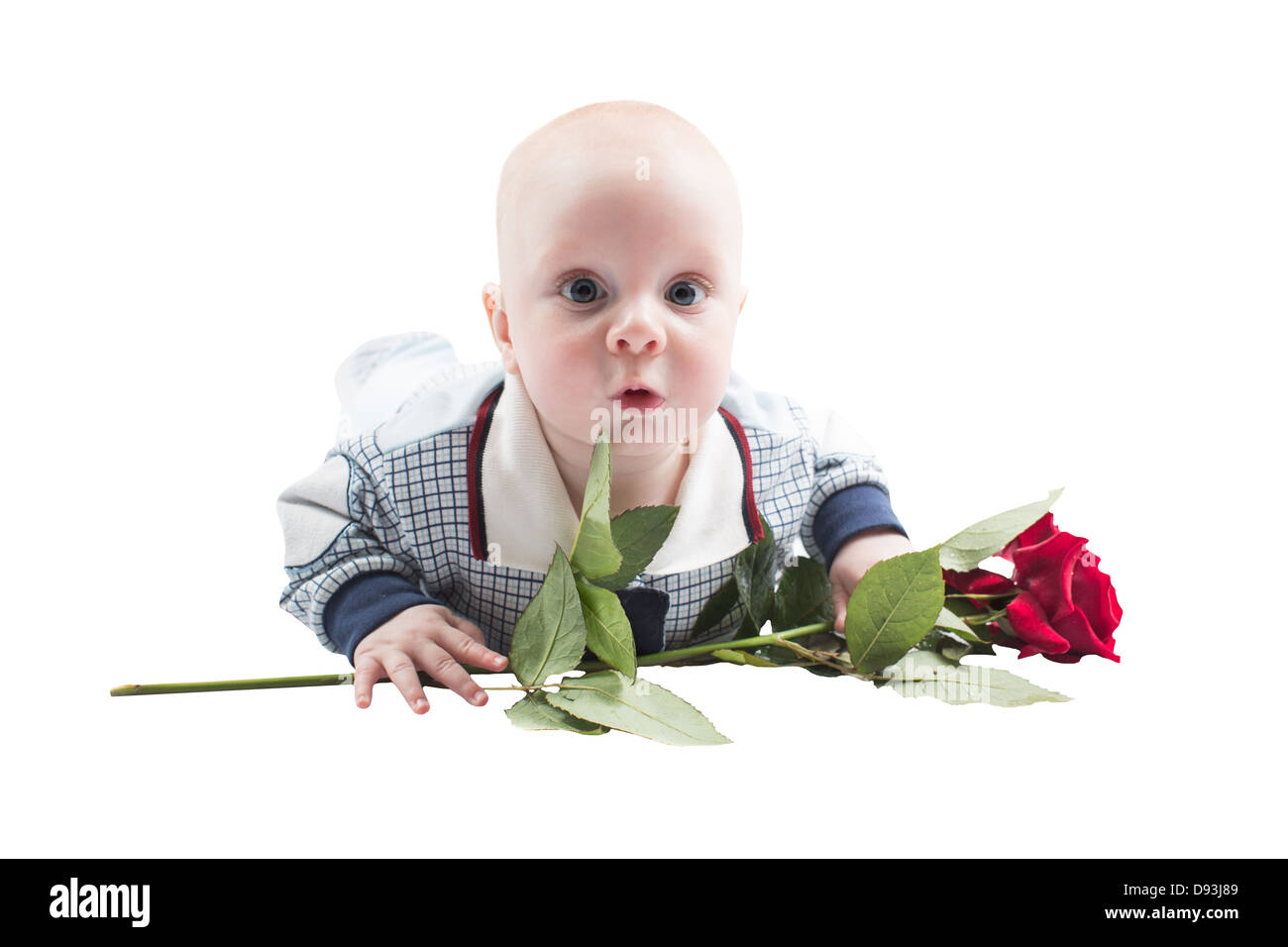 Adorable baby boy con fiore rosa isolato su sfondo bianco. Neonati e bambini Foto Stock